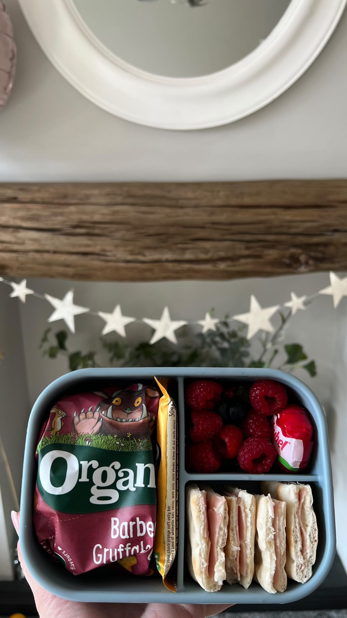 Animal Blue Gift Box