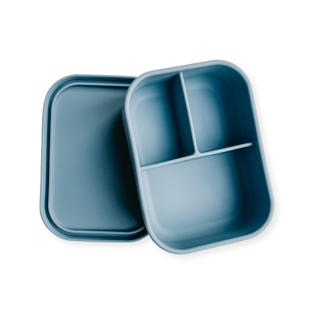 Animal Blue Gift Box